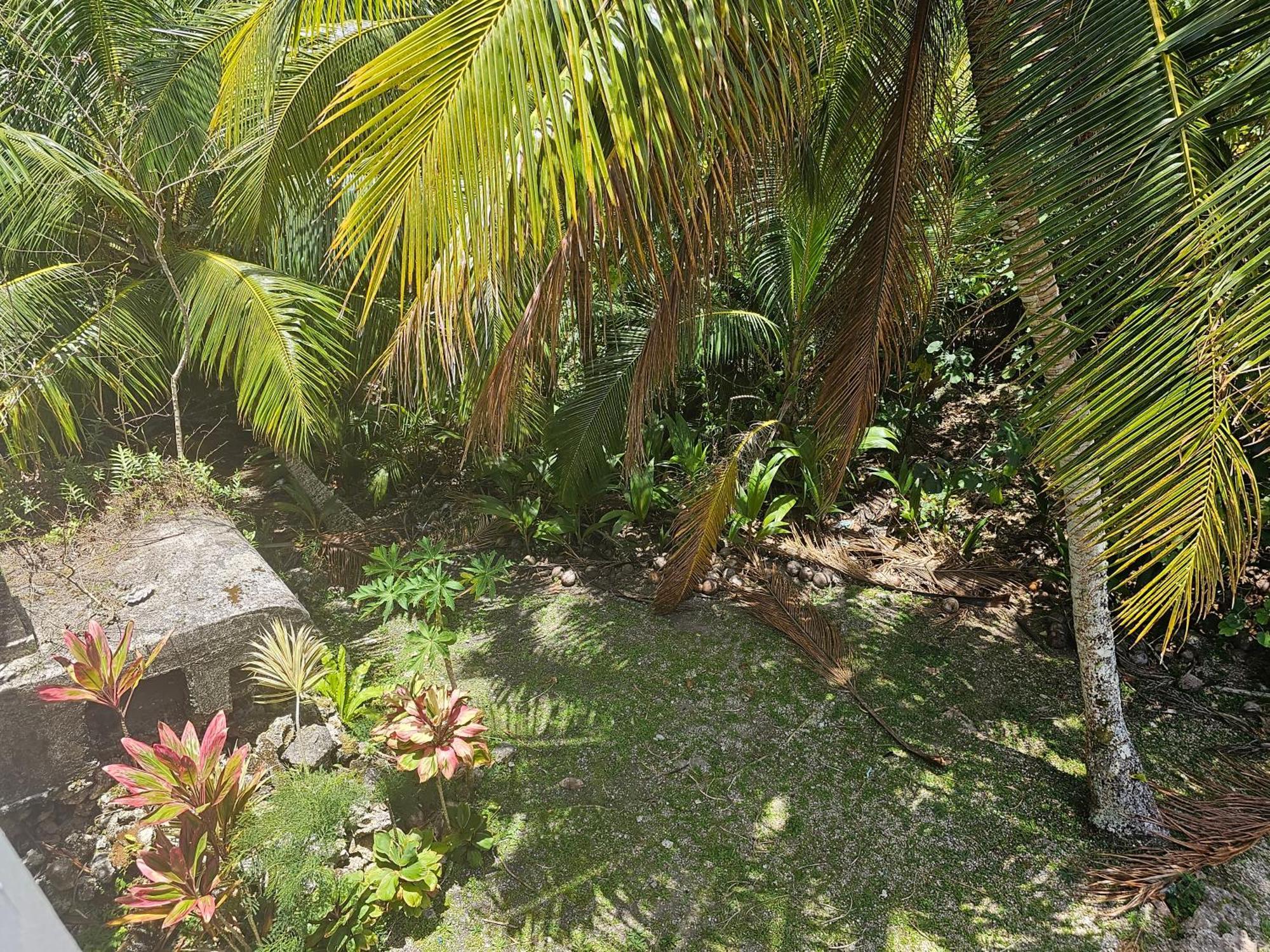 Heleni Jessop'S Fatahega Villa Alofi Exterior photo