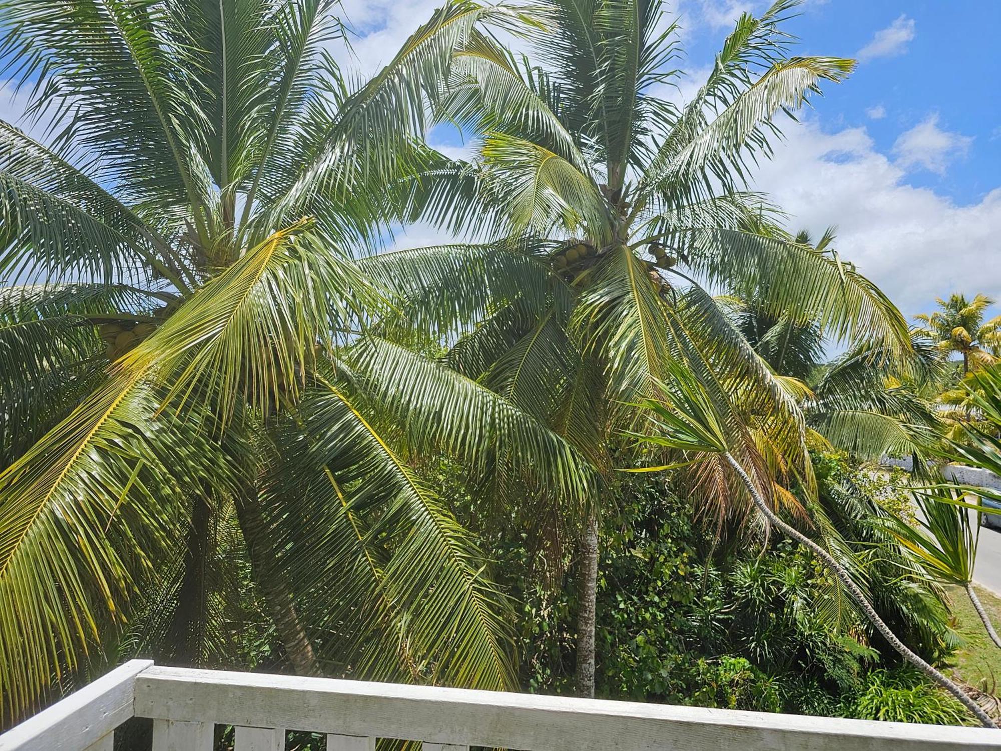 Heleni Jessop'S Fatahega Villa Alofi Exterior photo